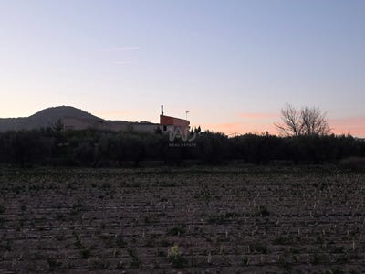 /international/es/ds-daya-la-calasparra-calasparra-region-of-murcia-310109075418/