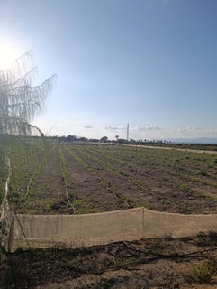 /international/es/carretera-de-elche-la-marina-portimao-valencian-community-310107756934/