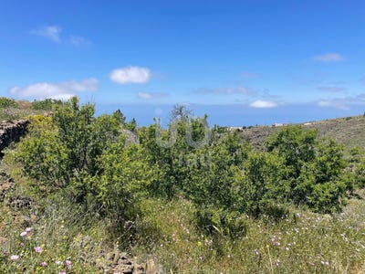 /international/es/santa-cruz-de-tenerife-canary-islands-310101322148/