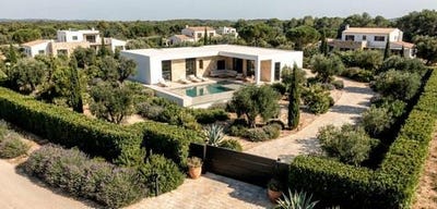 /international/es/aspe-valencian-community-310109841056/