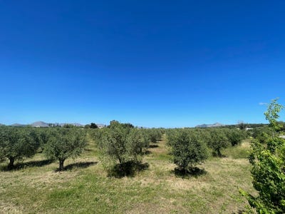 /international/es/diseminado-disseminat-5-490-07400-alcudia-illes-balears-spain-alcudia-balearic-islands-310105406478/