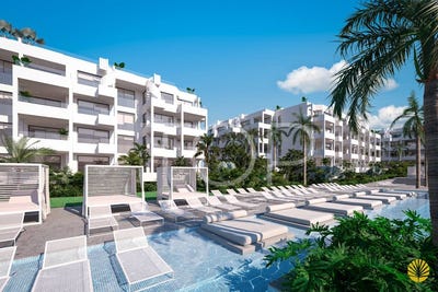 /international/es/palm-mar-canary-islands-310107759776/
