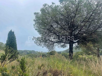 /international/es/sant-vicenc-de-montalt-catalonia-310100637642/