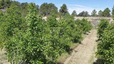 /international/es/carretera-de-vilalba-gandesa-catalonia-310107089681/