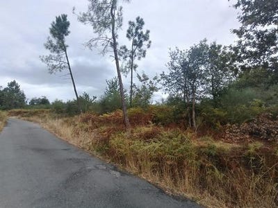 /international/es/salvaterra-de-mino-galicia-310108162730/