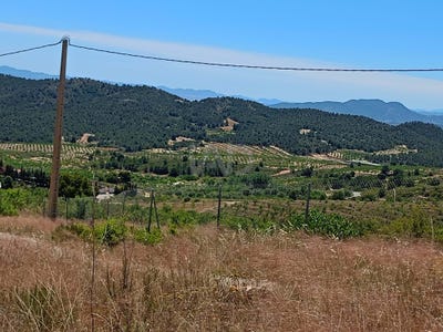 /international/es/ds-zarzadilla-de-totana-zarzadilla-tot-lorca-region-of-murcia-310108755990/