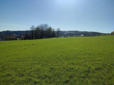 /international/es/santiago-de-compostela-galicia-310101274410/?lang=it