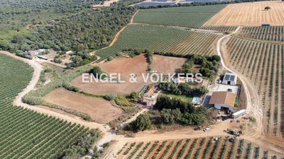 /international/es/puerto-real-andalusia-310100640929/?lang=it