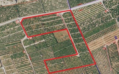 /international/es/forna-1-oliva-valencian-community-310108619000/
