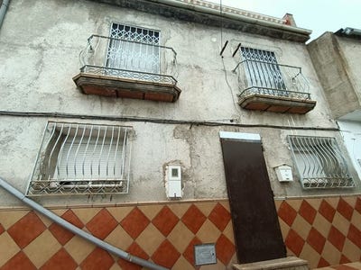/international/es/pinos-puente-andalusia-310100664796/