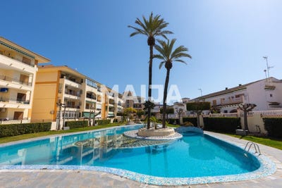 /international/es/calle-sauce-torrevieja-valencian-community-310109236996/