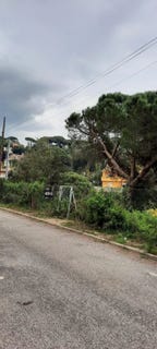 /international/es/dosrius-catalonia-310104919213/