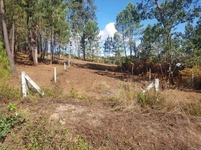 /international/es/salvaterra-de-mino-galicia-310108162981/
