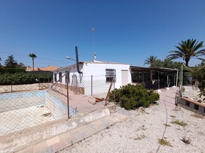/international/es/elche-valencian-community-310101155654/?lang=zh-tw
