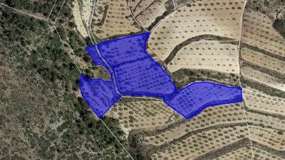 /international/es/romana-la-valencian-community-310101355837/