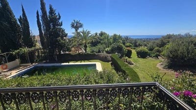 /international/es/el-rosario-canary-islands-310109226787/