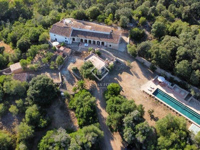 /international/es/alaior-balearic-islands-310100642824/?lang=en