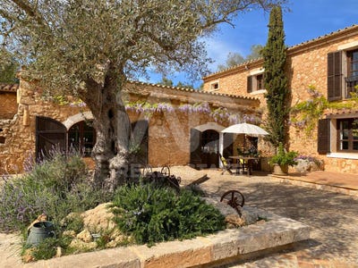 /international/es/lloc-poligon-18-sencelles-balearic-islands-310108599642/?lang=es