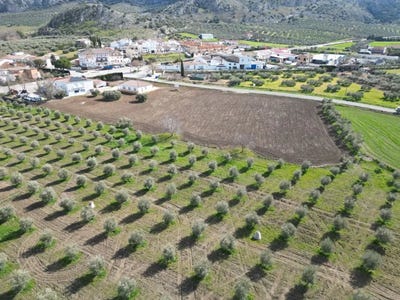 /international/es/cuevas-del-becerro-andalusia-310105101882/