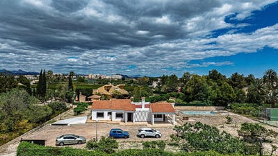 /international/es/elche-valencian-community-310108765232/?lang=es