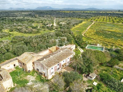 /international/es/llucmajor-balearic-islands-310106780830/