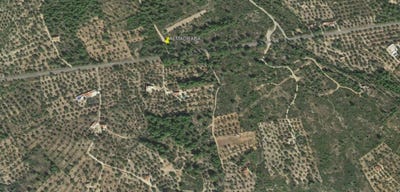 /international/es/vandellos-i-l-hospitalet-de-l-infant-catalonia-310104224878/