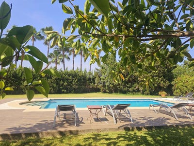 /international/es/alcudia-andalusia-310100712486/?lang=zh-tw