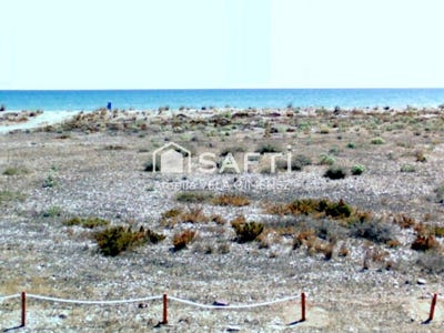 /international/es/almenara-valencian-community-310105740286/