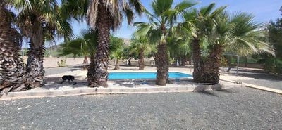 /international/es/la-romana-valencian-community-310101515489/?lang=it