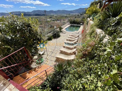 /international/es/ador-valencian-community-310108671282/