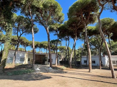 /international/es/gava-catalonia-310106738009/