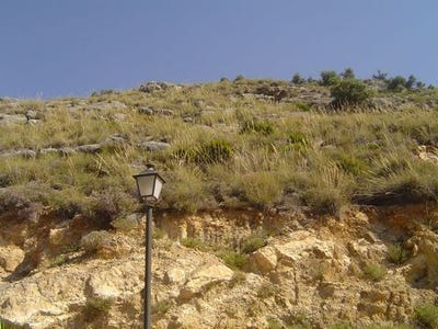 /international/es/coin-andalusia-310100611347/