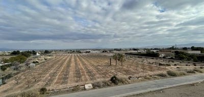 /international/es/totana-region-of-murcia-310099118805/