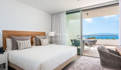 /international/es/guia-de-isora-canary-islands-310106710725/