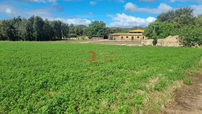 /international/es/palafrugell-catalonia-310101972846/