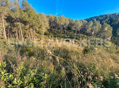 /international/es/vallirana-catalonia-310094935632/