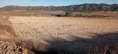 /international/es/salinas-valencian-community-310108994983/?lang=pt