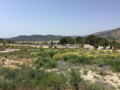 /international/es/finestrat-valencian-community-310100284871/