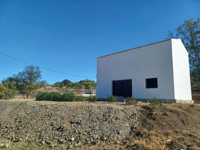 /international/es/coin-andalusia-310100612137/