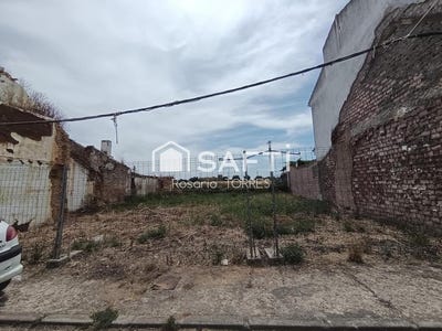 /international/es/carlota-andalusia-310101279793/
