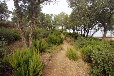 /international/es/begur-catalonia-310110042660/