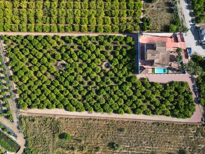 /international/es/orihuela-a-orihuela-valencian-community-310109171765/