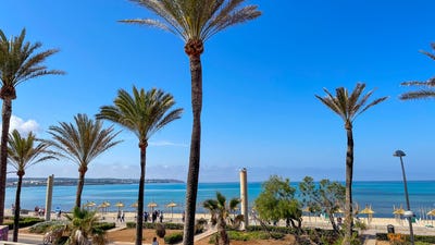 /international/es/32-carrer-del-llaut-municipality-of-palma-balearic-islands-310101731065/