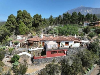 /international/es/icod-de-los-vinos-canary-islands-310104844328/