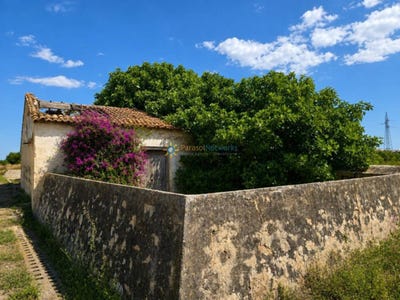 /international/es/piles-valencian-community-310108698055/