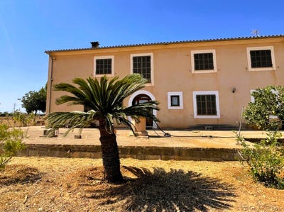 /international/es/391-diseminado-son-catlar-campos-balearic-islands-310101737274/