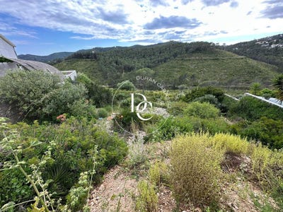 /international/es/olivella-catalonia-310100459990/