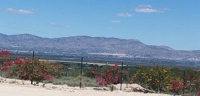 /international/es/guardamar-del-segura-valencian-community-310108187395/