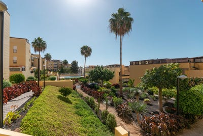 /international/es/arona-canary-islands-310104132486/