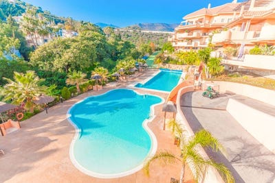 /international/es/nueva-andalucia-malaga-andalusia-310101355339/?lang=zh-cn